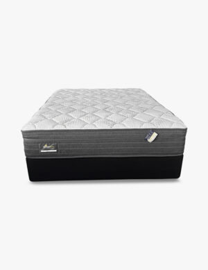 Slumberking Albany Plush Mattress