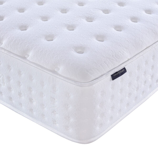 Loren Williams Tencel 1200 - Image 2