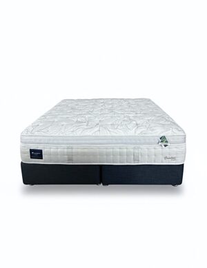 Domino Divine Luxury Brookton Plush Mattress