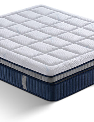 Spinecare Orthopaedic Firm Mattress